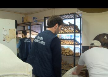 სურსათის ეროვნული სააგენტო სკოლების მიმდებარედ არსებულ კვების ობიექტებს ამოწმებს