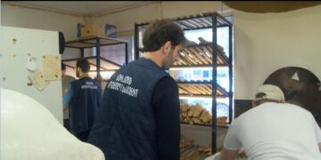 სურსათის ეროვნული სააგენტო სკოლების მიმდებარედ არსებულ კვების ობიექტებს ამოწმებს