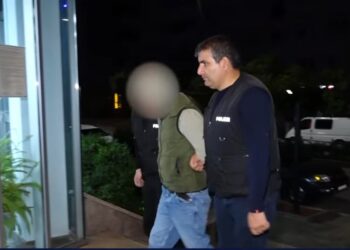 გურიაში უკანონო ცეცხლსასროლი იარაღის შენახვისთვის ერთი პირი დააკავეს