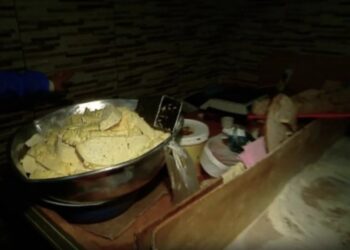 ანტისანიტარია, ბუზები, სახიფათო ყველი და ვადაგასული პროდუქტი – რა დარღვევები აღმოაჩინა საცხობებში სეს-მა