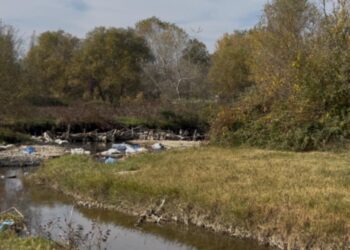 ქვემო ქართლში მკვლელობა მოხდა