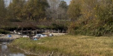 ქვემო ქართლში მკვლელობა მოხდა