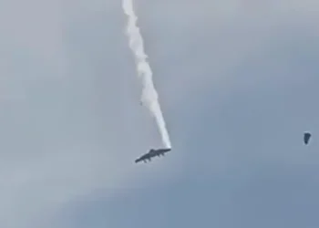 თვითმფრინავის ბორტზე, რომელიც დღეს სიღნაღის მუნიციპალიტეტში ჩამოვარდა, 20 ადამიანი იმყოფებოდა