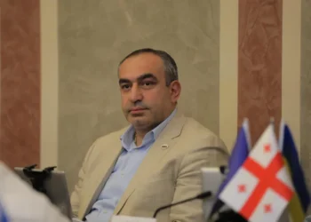 ბოჟაძე: არცერთი ადამიანის ცემის ფაქტი არ დადასტურებულა