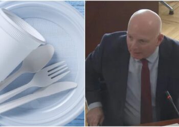 ერთჯერადი ჭიქები, თეფშები, დანები და პლასტმასის მსგავსი ნივთები შესაძლოა აიკრძალოს