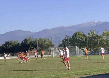 “მერცხალმა” მოიგო და ლიგაში ადგილი შეინარჩუნა