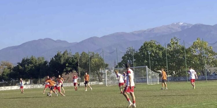 “მერცხალმა” მოიგო და ლიგაში ადგილი შეინარჩუნა