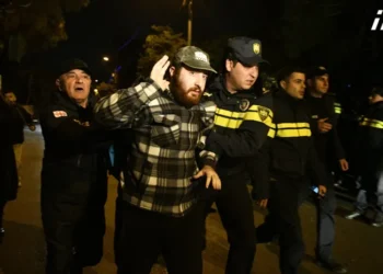 პოლიციამ მათე დევიძის მხარდამჭერი მსვლელობის კიდევ რამდენიმე მონაწილე დააკავა