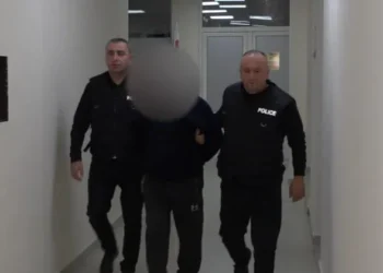 11 წლის ბიჭის გაუპატიურების ბრალდებით დაკავებულ 73 წლის კაცს ბრალი წარუდგინეს