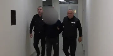 11 წლის ბიჭის გაუპატიურების ბრალდებით დაკავებულ 73 წლის კაცს ბრალი წარუდგინეს