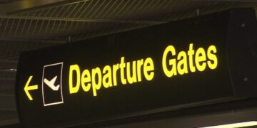 ირლანდიიდან საქართველოში 52 პირი გამოაძევეს