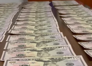 დააკავეს ორი პირი, რომლებმაც „რიკო ექსპრესის“ ფილიალებში 60 ცალი ყალბი 50 აშშ დოლარიანი კუპიურა გაასაღეს