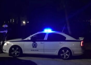 საქართველოს ორი მოქალაქე კვიპროსელი ბიზნესმენის მკვლელობის ბრალდებით დააკავეს