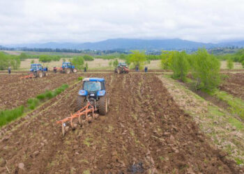 რა ტიპის მიწის ნაკვეთზე არ მოგიწევთ ქონების გადასახადის გადახდა?