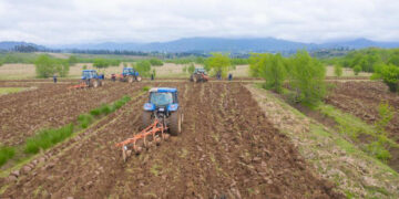 რა ტიპის მიწის ნაკვეთზე არ მოგიწევთ ქონების გადასახადის გადახდა?