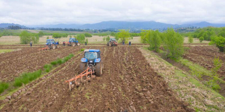 რა ტიპის მიწის ნაკვეთზე არ მოგიწევთ ქონების გადასახადის გადახდა?