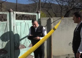 პოლიციამ 2019 წელს განსაკუთრებული სისასტიკით ჩადენილი განზრახ მკვლელობის ფაქტი გახსნა