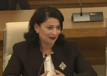 კულტურული მემკვიდრეობის დაცვის სააგენტოს ხელმძღვანელი – ყველა მნიშვნელოვან ძეგლს დიდი გასაჭირი აქვს – ძეგლები იმის გამო ფუჭდება, რომ ან სახურავია არასწორად მოწყობილი ან მასალაა არასწორი – ვფიქრობ, უცხოელი ექსპერტები ჩავრთოთ