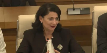 კულტურული მემკვიდრეობის დაცვის სააგენტოს ხელმძღვანელი – ყველა მნიშვნელოვან ძეგლს დიდი გასაჭირი აქვს – ძეგლები იმის გამო ფუჭდება, რომ ან სახურავია არასწორად მოწყობილი ან მასალაა არასწორი – ვფიქრობ, უცხოელი ექსპერტები ჩავრთოთ