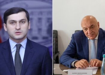 ახვლედიანის თქმით, თორნიკე რიჟვაძე გერმანიაში სამკურნალოდ წავიდა და არა საცხოვრებლად