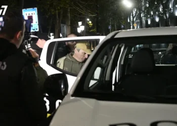 თავისუფლების მეტროსთან პოეტი პაატა შამუგია დააკავეს