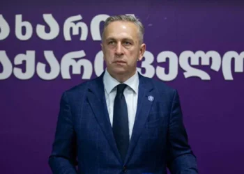 ზაზა თავაძე პოლიტიკიდან მიდის