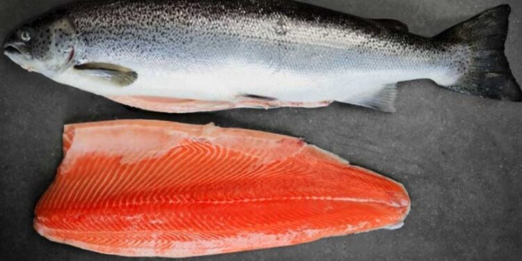 კალმახს კვებისას საღებავებს უმატებენ და ორაგულად ასაღებენ — “რადიო თავისუფლების” ჟურნალისტური გამოძიება