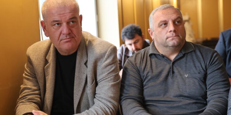 ოზურგეთის საკრებულოში ახალი ფრაქცია შეიქმნება