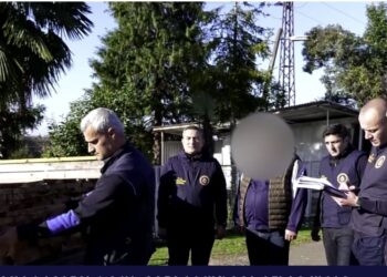 ვიდეო – დააკავეს სახანძრო-სამაშველო განყოფილების მეთაური, რომელმაც ქობულეთში უკანონოდ გაჩეხა და დაამზადა კრიპტომერიის ჯიშის ხე-მცენარე