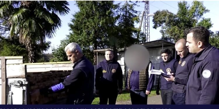 ვიდეო – დააკავეს სახანძრო-სამაშველო განყოფილების მეთაური, რომელმაც ქობულეთში უკანონოდ გაჩეხა და დაამზადა კრიპტომერიის ჯიშის ხე-მცენარე