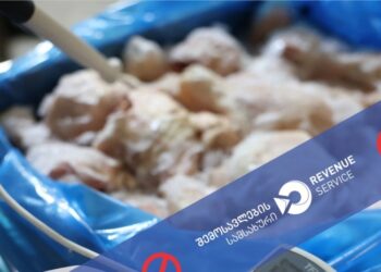 შემოსავლების სამსახურმა 50 487 კგ ქათმის ხორცი საბაჟოდან უკან გააბრუნა