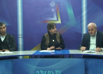 ”ჯარიმები ჩვენ დაგეგმილი გვაქვს, დაახლოებით, 3 მილიონ 20 000 ლარით”- საგზაო ჯარიმების რამდენი პროცენტი რჩება ოზურგეთის ბიუჯეტში