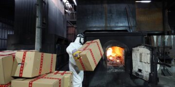 ვიდეო – შსს-მ 926 კილოგრამი ნარკოტიკული საშუალებები გაანადგურა