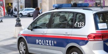 ავსტრიაში ქართველი მამაკაცი დააკავეს