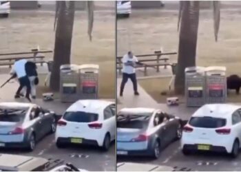 ნახეთ ვიდეო – ტერაქტის დროს მოქალაქემ ტერორისტი განაიარაღა