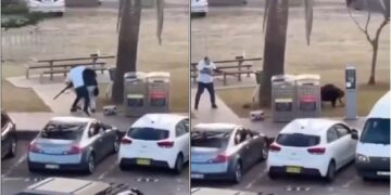 ნახეთ ვიდეო – ტერაქტის დროს მოქალაქემ ტერორისტი განაიარაღა