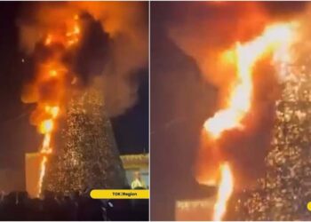 ნახეთ ვიდეო – გარდაბანში, მთავარი საახალწლო ნაძვის ხეს ცეცხლი გაუჩნდა