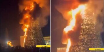 ნახეთ ვიდეო – გარდაბანში, მთავარი საახალწლო ნაძვის ხეს ცეცხლი გაუჩნდა