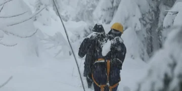 უამინდობამ დასავლეთ საქართველოში ელექტროგადამცემი ხაზები დააზიანა – „ენერგო-პრო ჯორჯია“