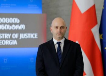 მიწას უფასოდ ვეღარ დაირეგისტრირებთ, საფასურს მთავრობა განსაზღვრავს – მინისტრის მოადგილე