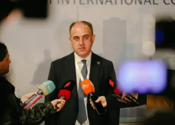 ელექტროენერგიის ტარიფი გაიზრდება – დავით ნარმანია