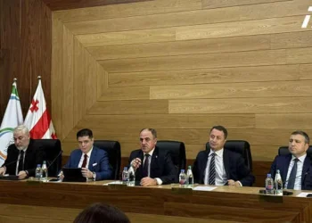 ელექტროენერგიის ტარიფთან დაკავშირებული ცვლილებები სამი თვით გადავადდა