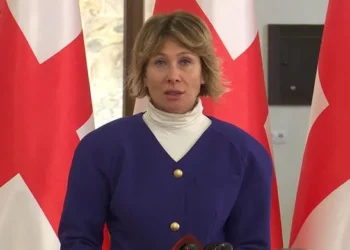 ბრიუსელს გაცილებით მეტი საზრუნავი უნდა ჰქონდეს, ვიდრე წარმატებული საქართველოს კრიტიკა და ლანძღვაა – ნინო წილოსანი