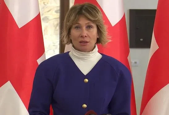 ბრიუსელს გაცილებით მეტი საზრუნავი უნდა ჰქონდეს, ვიდრე წარმატებული საქართველოს კრიტიკა და ლანძღვაა – ნინო წილოსანი