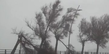 ვიდეო – ციკლონმა „ჰარიმ“ იტალიაში ძლიერი წვიმა და ქარიშხალი გამოიწვია