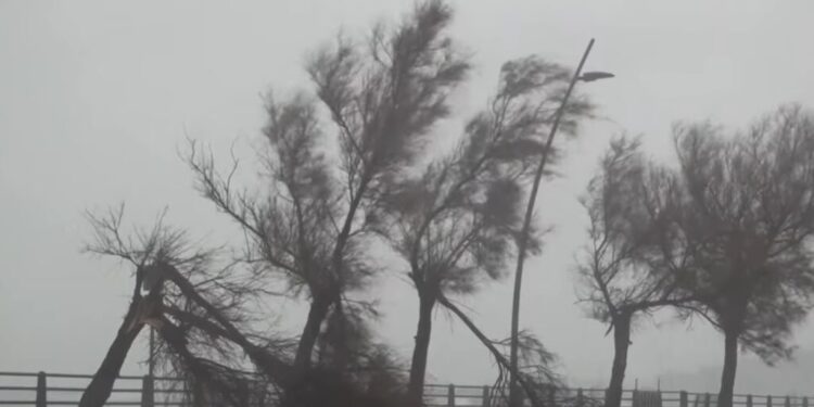 ვიდეო – ციკლონმა „ჰარიმ“ იტალიაში ძლიერი წვიმა და ქარიშხალი გამოიწვია