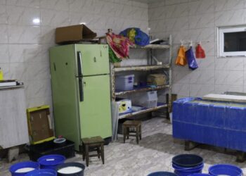 სურსათის ეროვნულმა სააგენტომ ყველის არალეგალური საწარმოები გამოავლინა