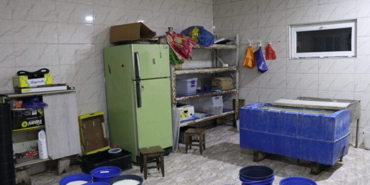 სურსათის ეროვნულმა სააგენტომ ყველის არალეგალური საწარმოები გამოავლინა