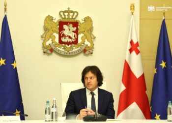 მთავრობა “ცენტრალურ შემსყიდველ ორგანოს” ქმნის