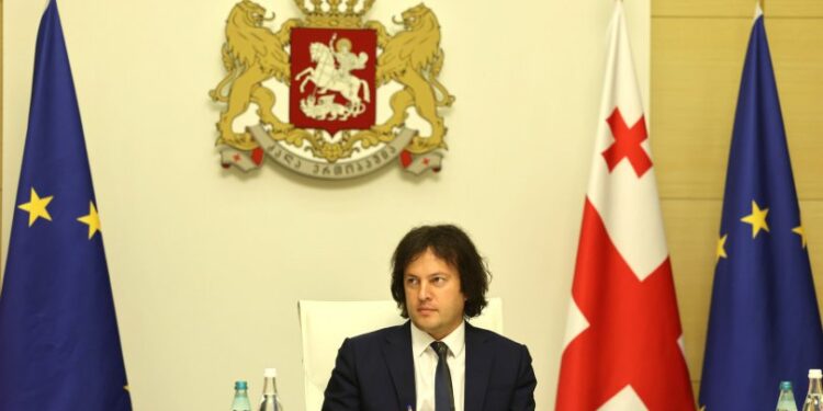 მთავრობა “ცენტრალურ შემსყიდველ ორგანოს” ქმნის